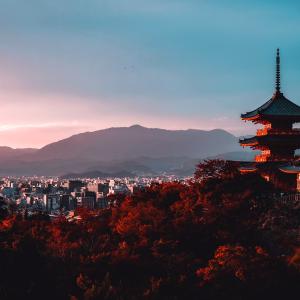 Tokyo panorama
