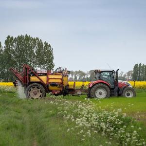 Reti d’impresa, filiere produttive e ricerca nel settore agroalimentare