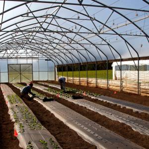 Azienda agricola