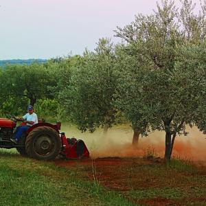 agricoltore
