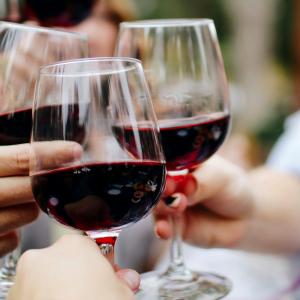 Vino
