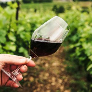 Promozione vino sui mercati