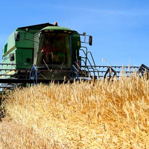 Agricoltura
