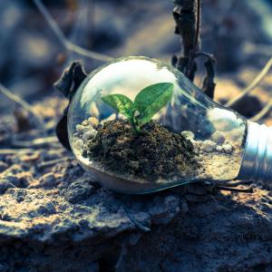 ecologia