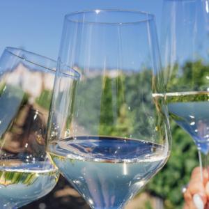 calici di vino