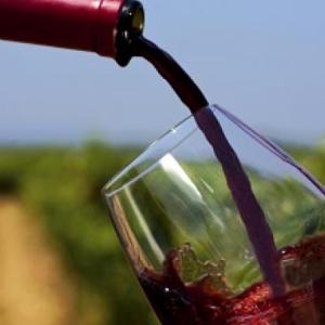 ce brings Italian wine producers to “Borsa dei Vini” in Belgium and in the Netherlands ce brings Italian wine producers to “Borsa dei Vini” in Belgium and in the Netherlands