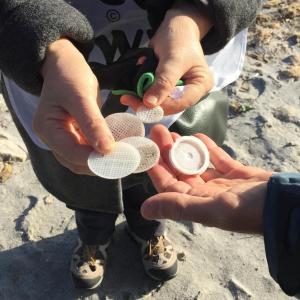 plastica raccolta a caprera plastica raccolta a caprera
