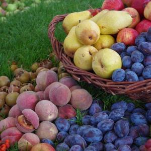frutta mista