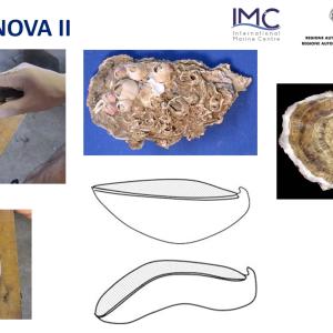 ostrinnova - un'immagine del video dimostrativo ostrinnova - un'immagine del video dimostrativo
