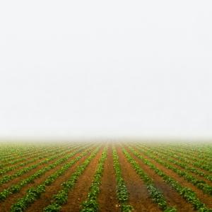 <span>Photo by <a href="https://unsplash.com/@clayleconey?utm_source=unsplash&utm_medium=referral&utm_content=creditCopyText">Clay LeConey</a> on <a href="https://unsplash.com/s/photos/agriculture-field?utm_source=unsplash&utm_medium=referral&utm_content=creditCopyText">Unsplash</a></span> Agricoltura