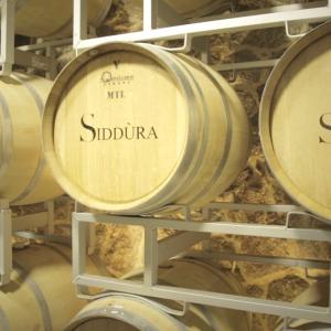 Cantina Siddùra Cantina Siddùra