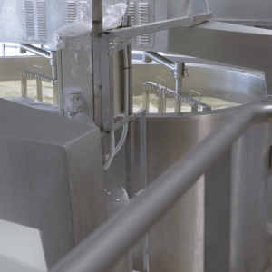 Un momento del processo produttivo alla Cooperativa San Pasquale Un momento del processo produttivo alla Cooperativa San Pasquale
