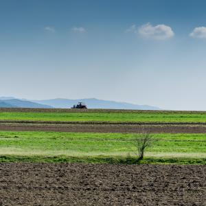 Agricoltura