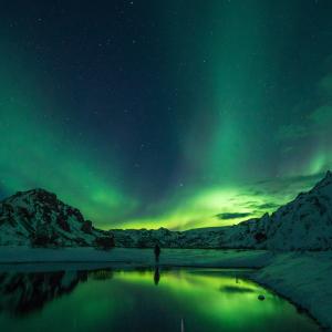 Photo by <a href="https://unsplash.com/@r3dmax?utm_source=unsplash&utm_medium=referral&utm_content=creditCopyText">Jonatan Pie</a> on <a href="https://unsplash.com/s/photos/green?utm_source=unsplash&utm_medium=referral&utm_content=creditCopyText">Unsplash</a> Green economy