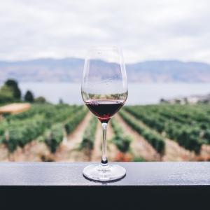 Photo by <a href="https://unsplash.com/@kymellis?utm_source=unsplash&utm_medium=referral&utm_content=creditCopyText">Kym Ellis</a> on <a href="https://unsplash.com/s/photos/wine?utm_source=unsplash&utm_medium=referral&utm_content=creditCopyText">Unsplash</a> Agricoltura