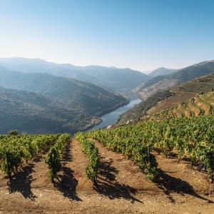 Photo by <a href="https://unsplash.com/@qwitka?utm_source=unsplash&utm_medium=referral&utm_content=creditCopyText">Maksym Kaharlytskyi</a> on <a href="https://unsplash.com/s/photos/agricultural?utm_source=unsplash&utm_medium=referral&utm_content=creditCopyText">Unsplash</a> Agricoltura