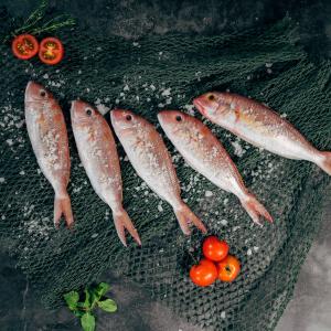 Photo by <a href="https://unsplash.com/@hoanvokim?utm_source=unsplash&utm_medium=referral&utm_content=creditCopyText">Harris Vo</a> on <a href="https://unsplash.com/s/photos/fish?utm_source=unsplash&utm_medium=referral&utm_content=creditCopyText">Unsplash</a> Pesca