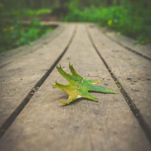 Photo by <a href="https://unsplash.com/@michael_g_krahn?utm_source=unsplash&utm_medium=referral&utm_content=creditCopyText">Michael Krahn</a> on <a href="https://unsplash.com/s/photos/transition?utm_source=unsplash&utm_medium=referral&utm_content=creditCopyText">Unsplash</a> Transizione energetica