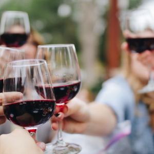 Photo by <a href="https://unsplash.com/@kelsoknight?utm_source=unsplash&utm_medium=referral&utm_content=creditCopyText">Kelsey Knight</a> on <a href="https://unsplash.com/s/photos/wine?utm_source=unsplash&utm_medium=referral&utm_content=creditCopyText">Unsplash</a> Viticoltura