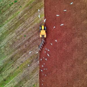 Photo by <a href="https://unsplash.com/@redzeppelin?utm_source=unsplash&utm_medium=referral&utm_content=creditCopyText">Red Zeppelin</a> on <a href="https://unsplash.com/s/photos/agricultural?utm_source=unsplash&utm_medium=referral&utm_content=creditCopyText">Unsplash</a> Agricoltura