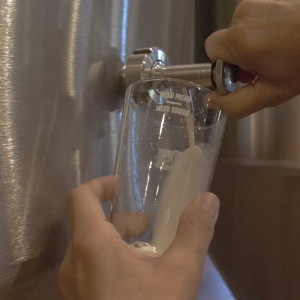 un birrificio artigianale sardo un birrificio artigianale sardo