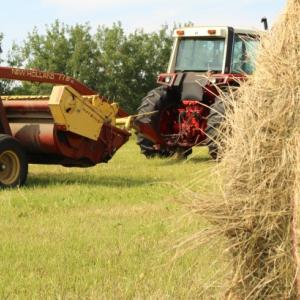 agricoltura rigenerativa agricoltura rigenerativa
