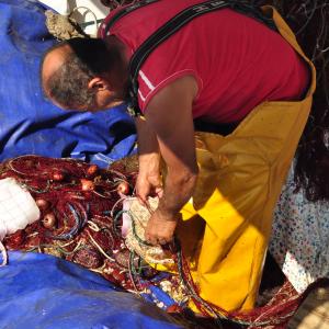 un pescatore di Alghero un pescatore di Alghero