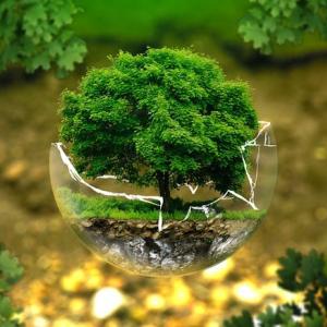 ambiente, immagine simbolica ambiente, immagine simbolica