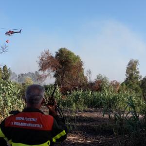 incendio incendio