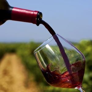 vino e vigna, immagine simbolica vino e vigna, immagine simbolica