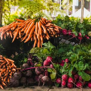 Alimenti