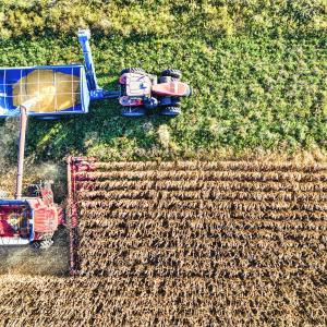 Agricoltura