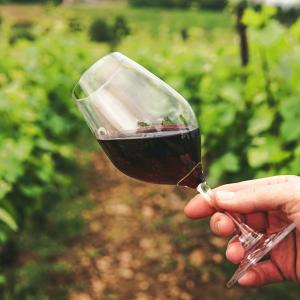 Vino