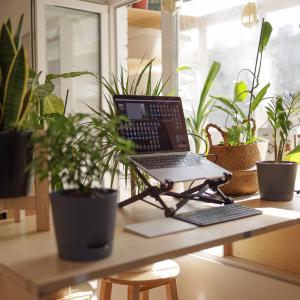 Working place