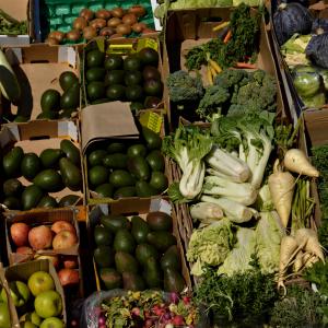 Vegetal