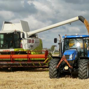 Lavoro agricolo