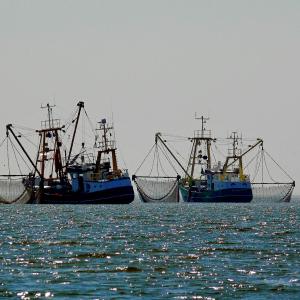 Pescherecci