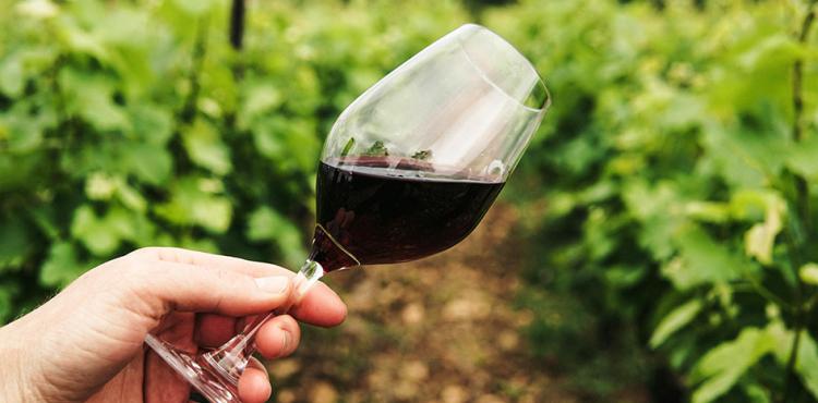 Promozione vino sui mercati