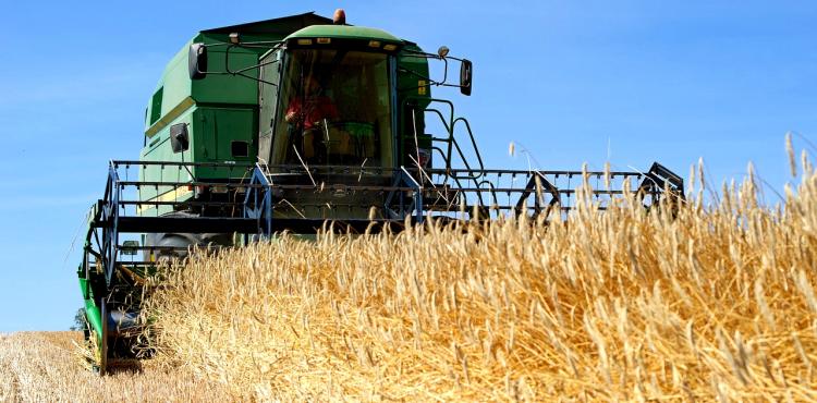 Agricoltura