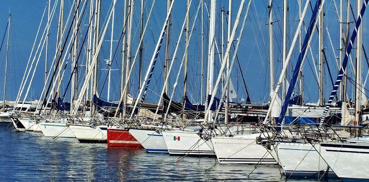 Barche a vela