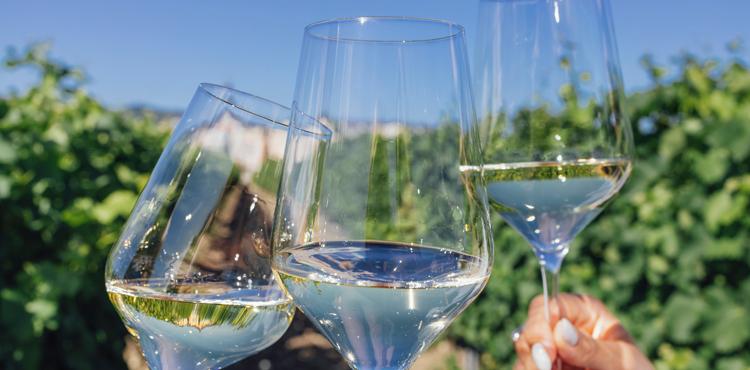 calici di vino