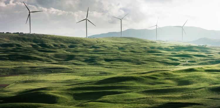 European Green Deal