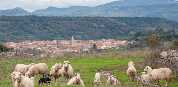 Turismo rurale