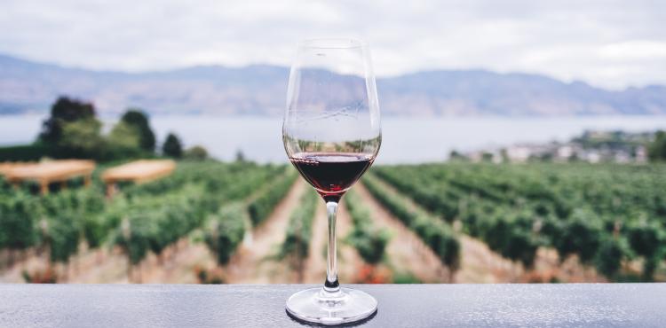 Vino