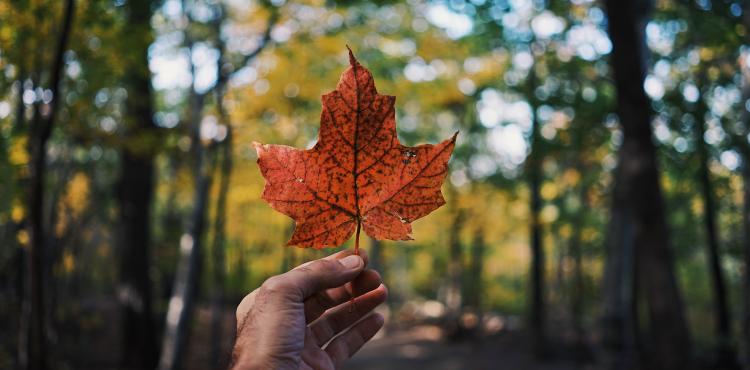 Canada