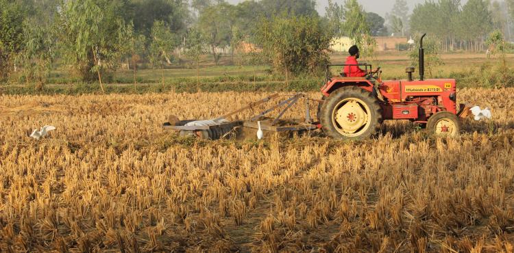 Agricoltura