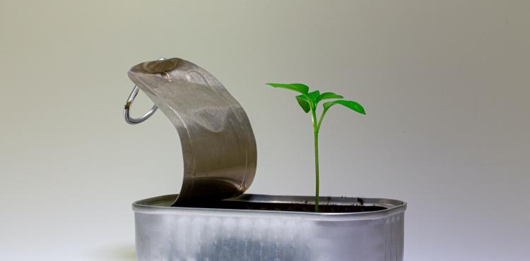 Innovazione