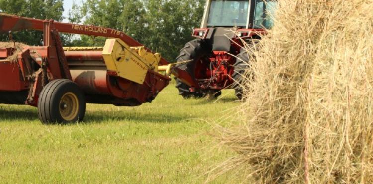 agricoltura rigenerativa