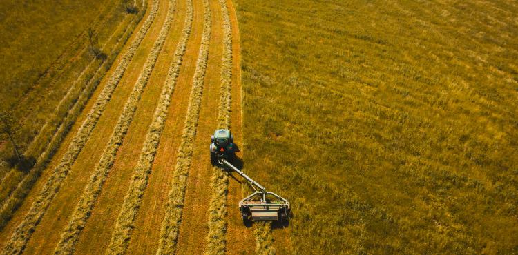 Agricoltura
