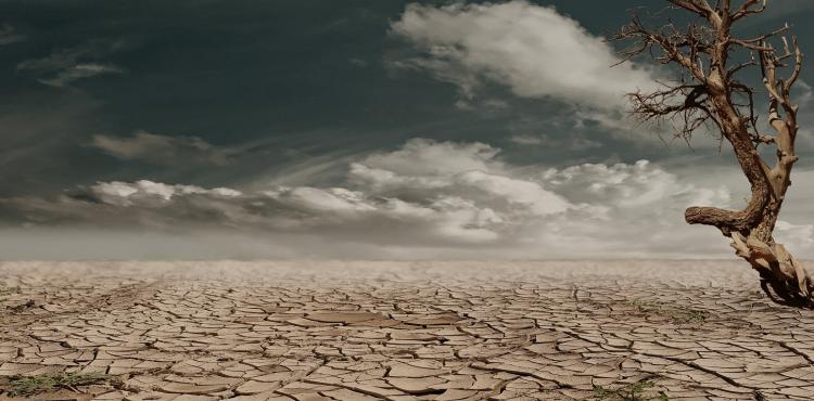 Desertificazione